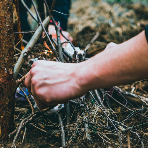 Bushcraft Firelighting
